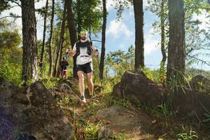 BIB: 3515
                            <button type="button" onclick="openModal(18915067)" class="btn btn-primary btn-sm float-right btn-popup" data-toggle="modal" data-target=".modal-high-quality">
                        <i class="fas fa-shopping-cart"></i> Add to Cart
                    </button>
                                            <button type="button" onclick="isThisMe(18915067, true)" class="btn btn-success btn-sm float-right btn-popup btn-isme hidden" data-toggle="tooltip" data-placement="bottom" title="นี่คือรูปของคุณใช่ไหม คลิกที่นี่เพื่อเอาเข้าอัลบั้ม">
                        <i class="fas fa-plus"></i> Add to album
                    </button>
                    <button type="button" onclick="isThisMe(18915067, false)" class="btn btn-warning btn-sm float-right btn-popup btn-isnotme hidden">
                        <i class="fas fa-ban"></i> Remove from album
                    </button>